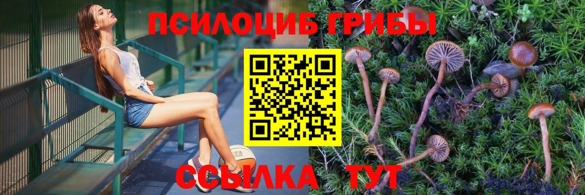 Псилоцибиновые грибы мухоморы  Асбест 